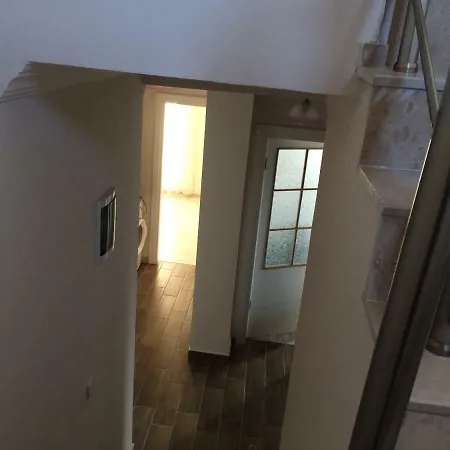 House For Rent In * ديديم
